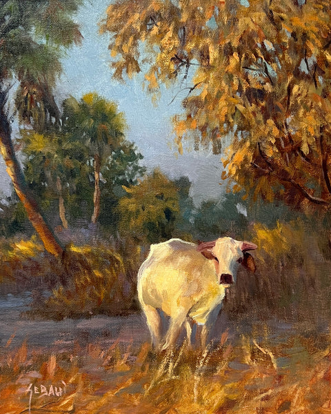 Cow in The Golden Light