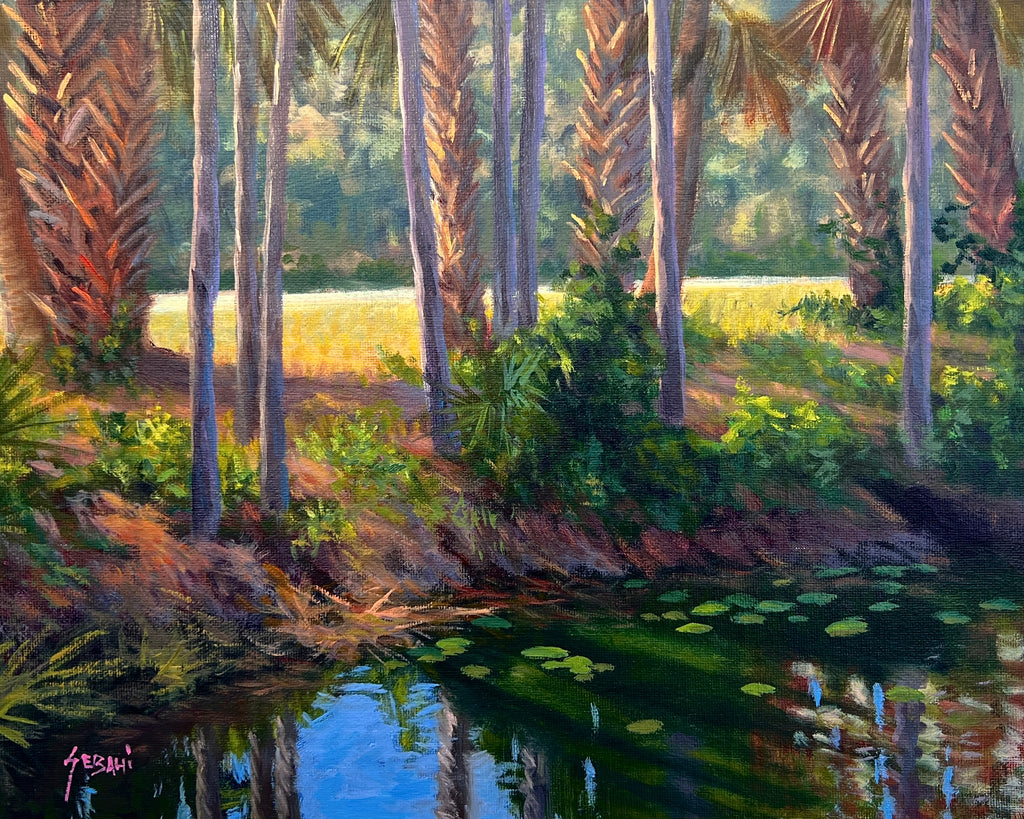 Dappled Light among the Palms