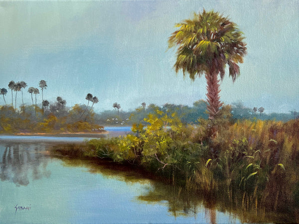 Florida River Scene