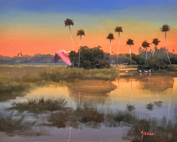Central Florida Wetlands