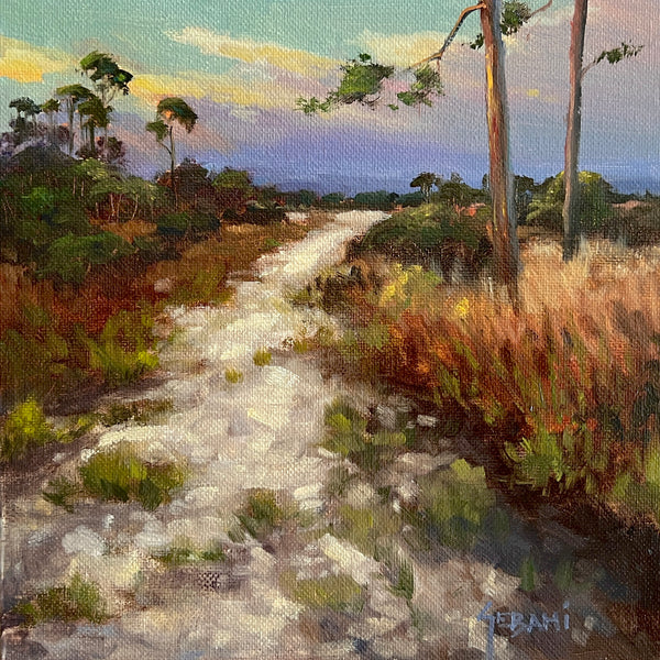 Florida Trail and Pines