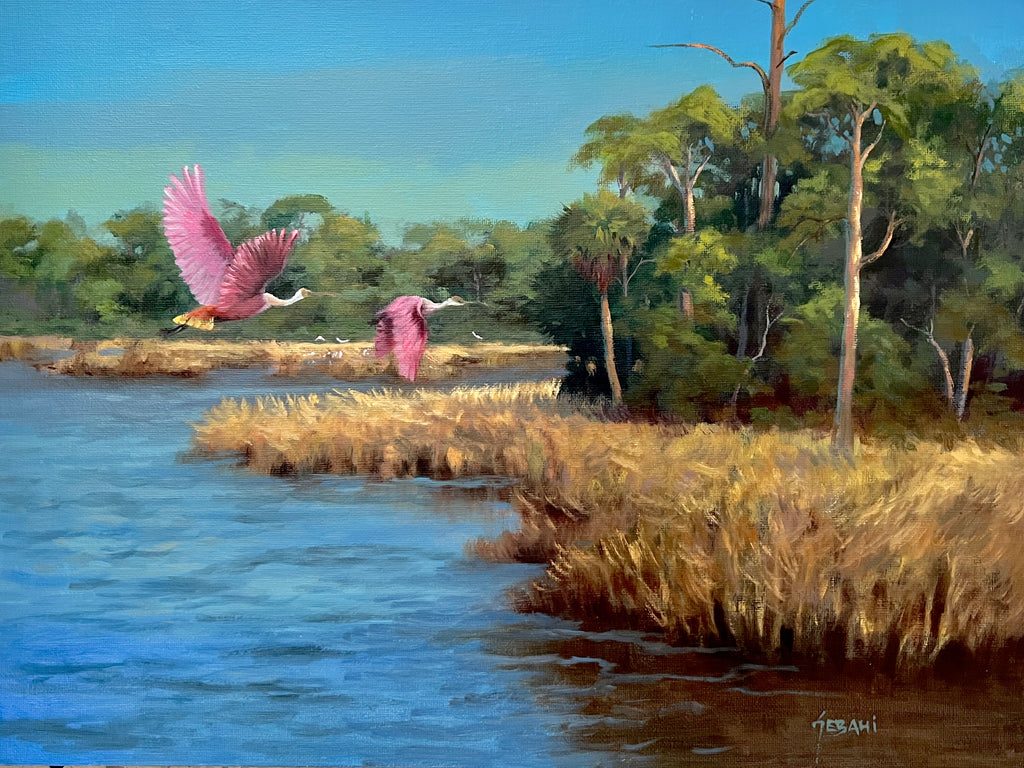 Pretty in Pink Florida Spoonbills