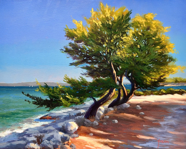 Coastal Pines Seascape