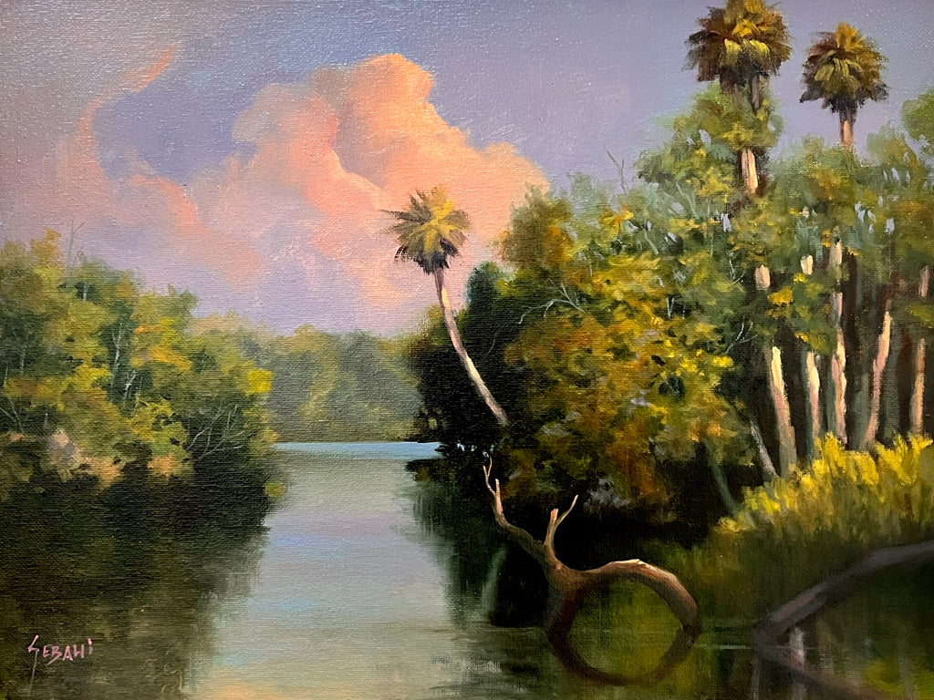 South Florida River