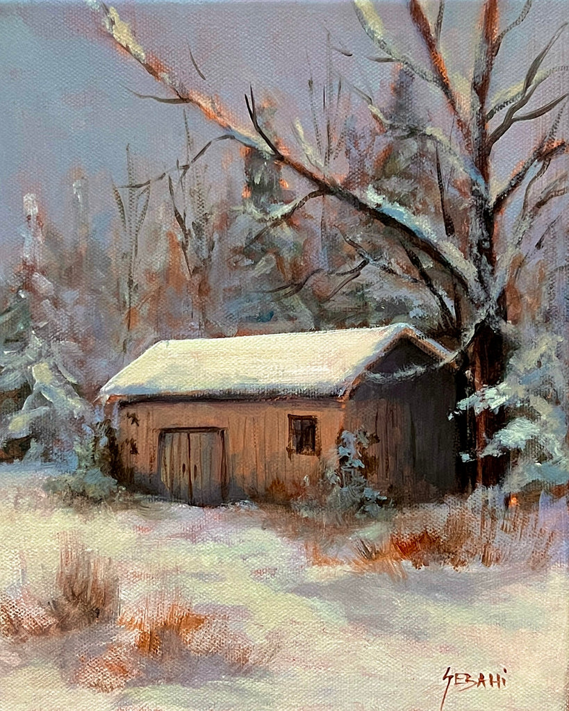 Snow Covered Shed