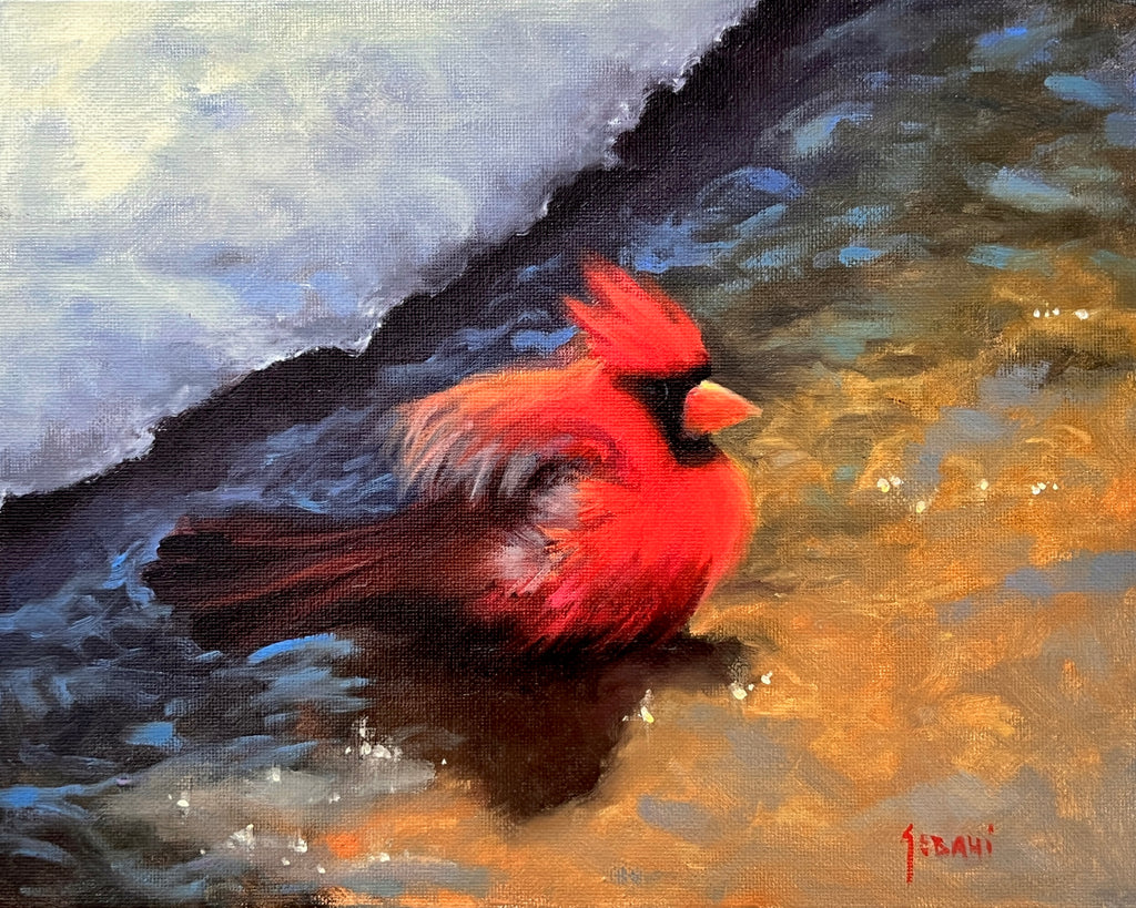 Red Cardinal Bathing