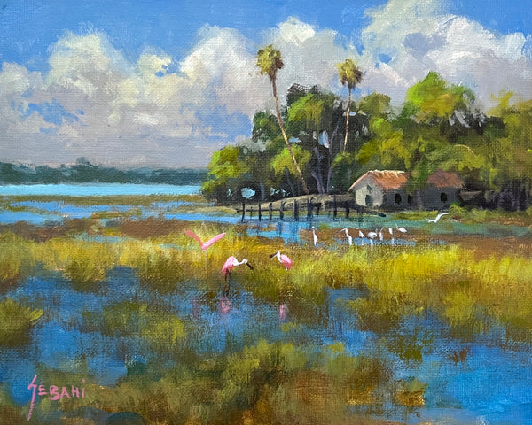 Florida Life in the Marsh