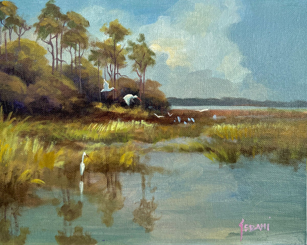 Florida Marshes and Egrets