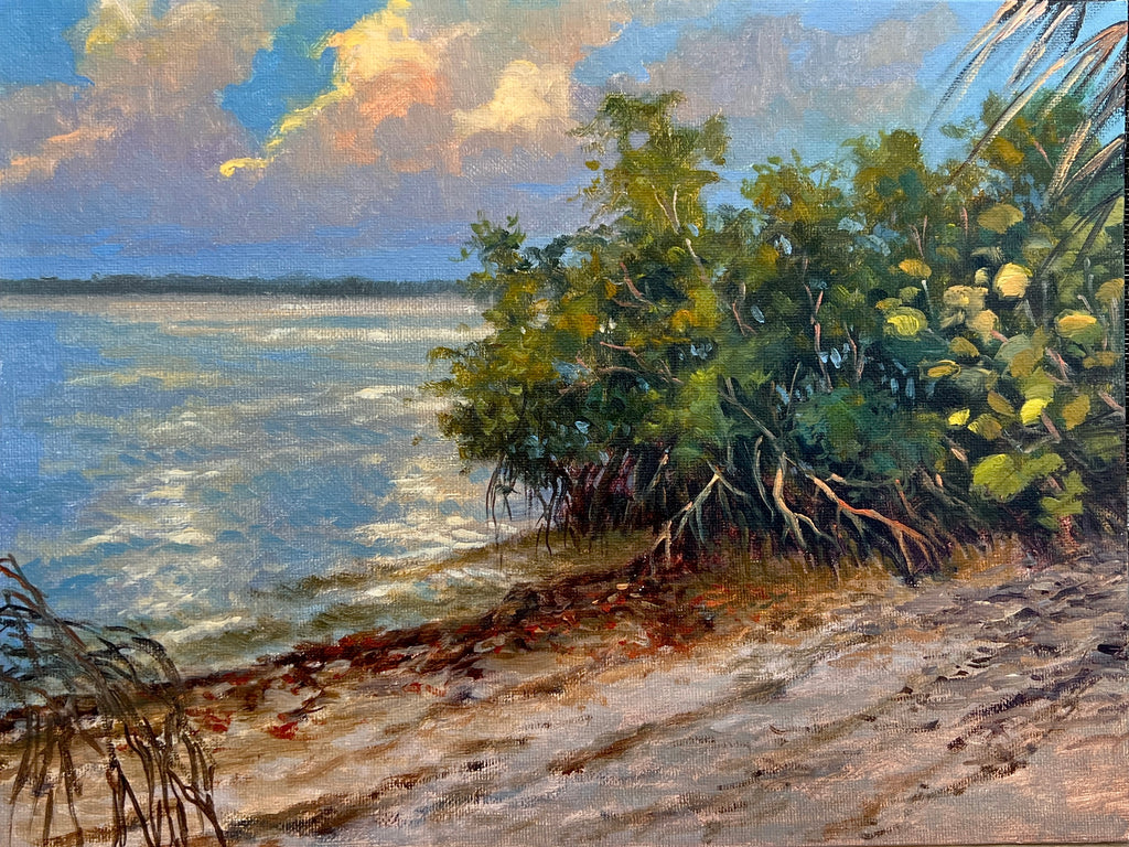 Singer Island Mangroves ll