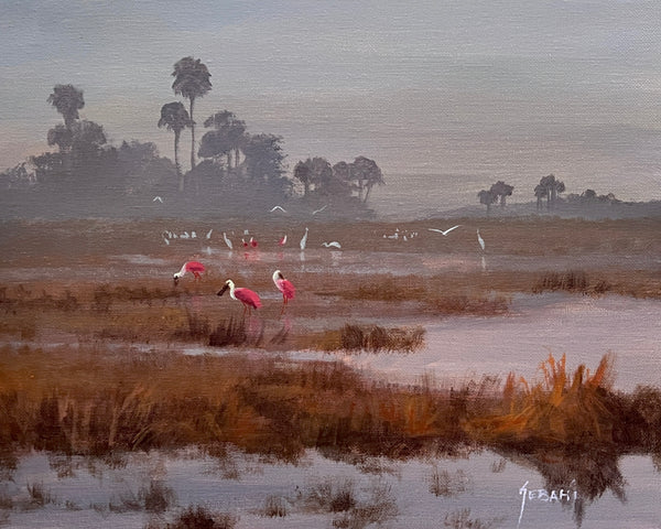 Misty Marshes and Spoonbills