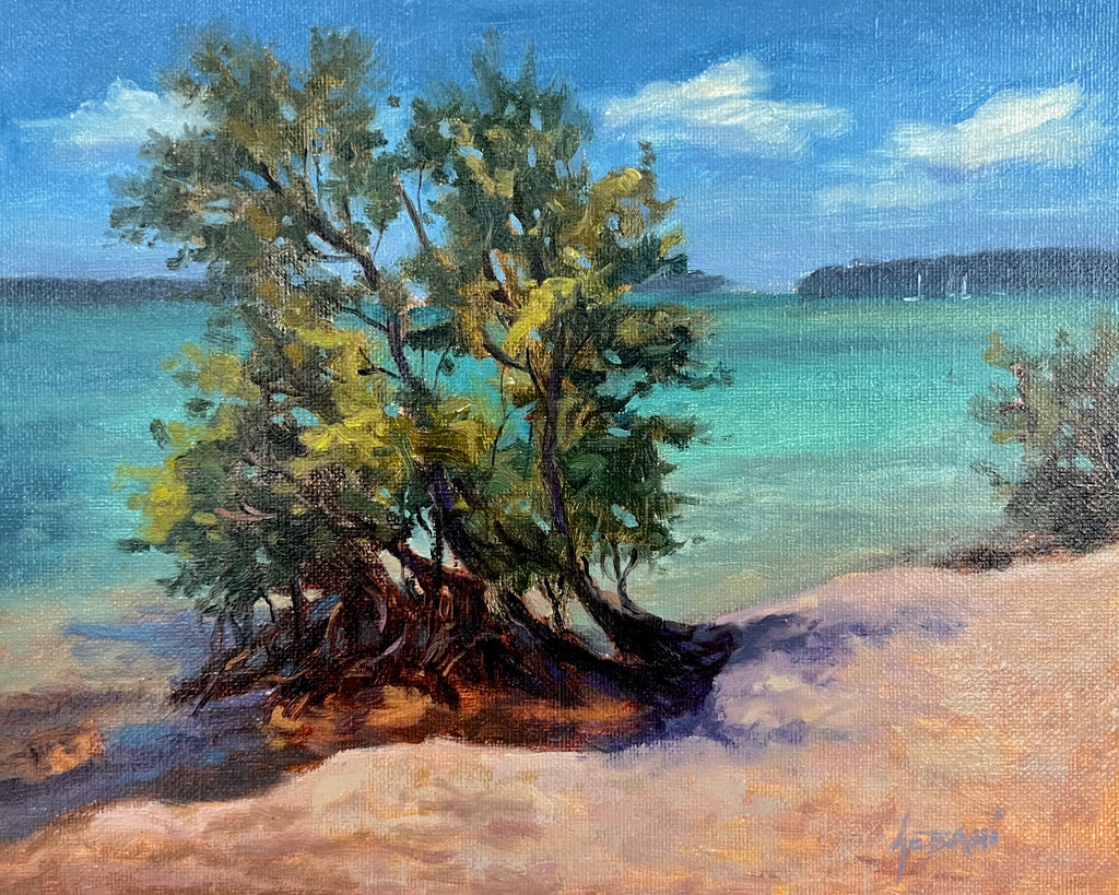 Florida Keys Seascape