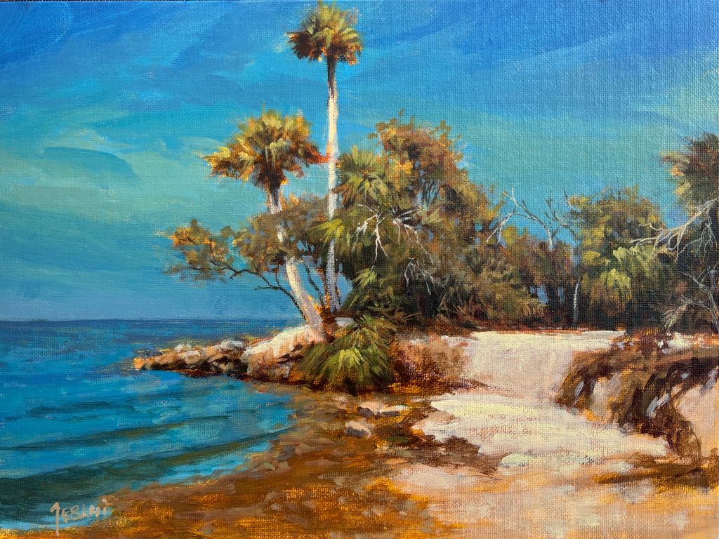 Florida Coastal Scene