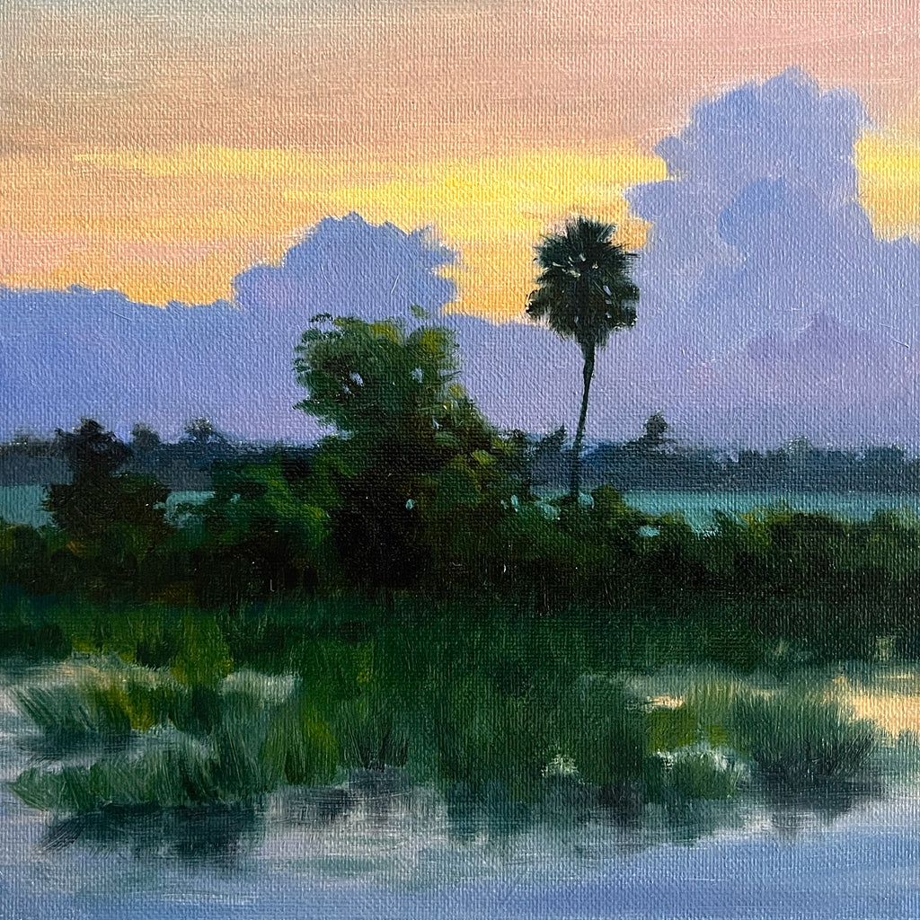 Florida Marshes and Sunset