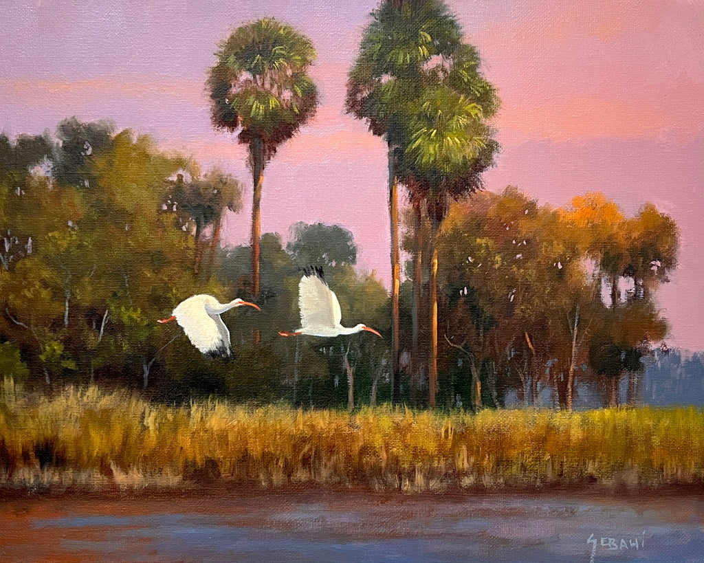 Florida Backcountry Landscape and Ibis