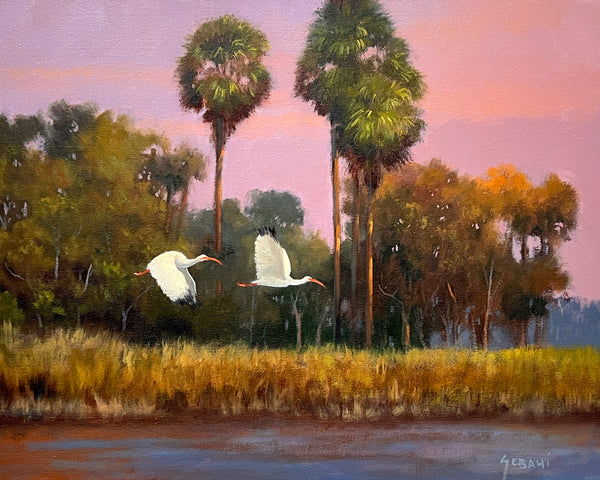 Florida Backcountry Landscape and Ibis