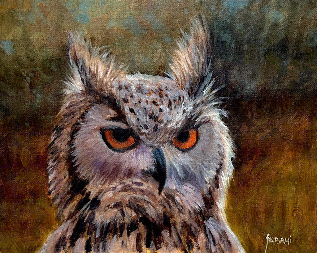 Owl Portait