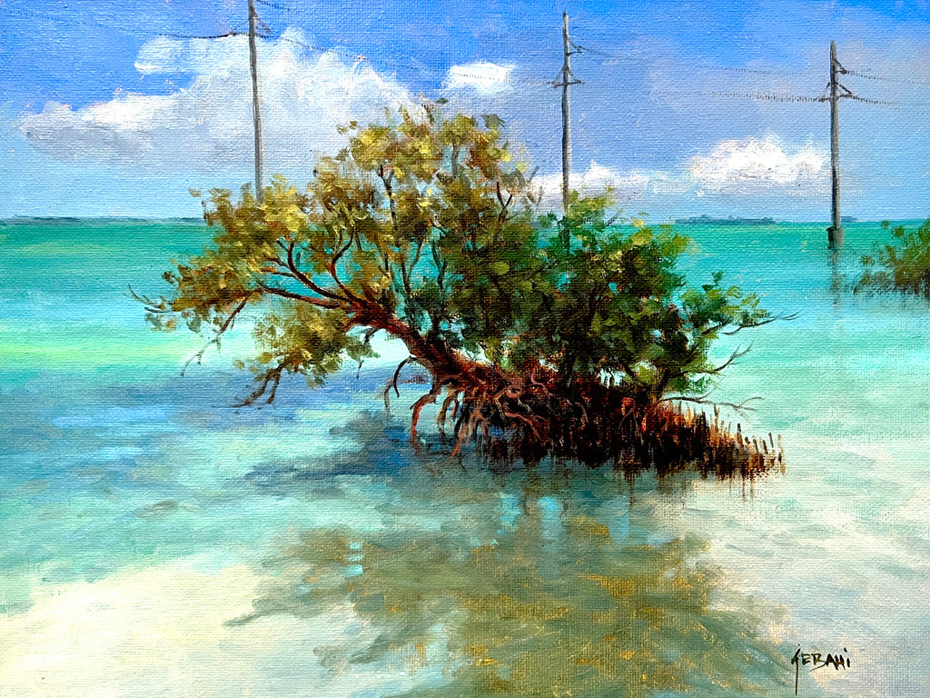 Islamorada Florida Keys