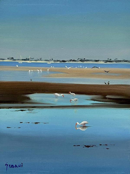 Coastal Seascape and Ibis Art Print  - Art Print