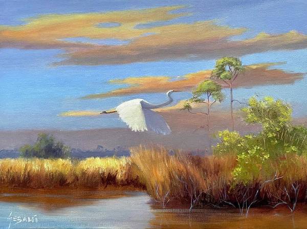 Evening on the Everglades National Park Landscape Art Print  - Art Print