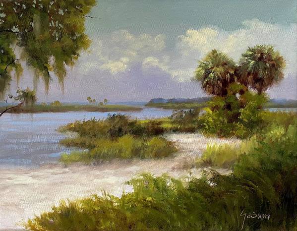 Florida Backcountry Marshland Art Print  - Art Print