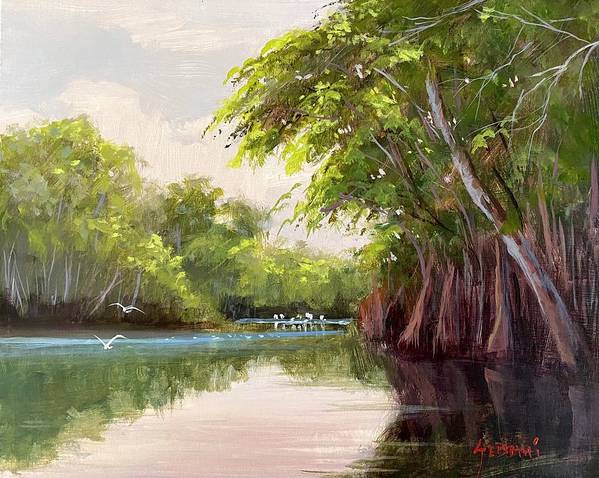 Florida Backcountry River and Wildlife Art Print  - Art Print