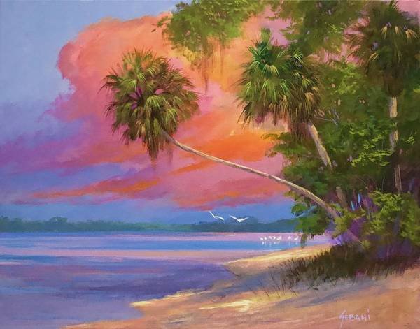 Florida Coastal Sunset Landscape Art Print  - Art Print