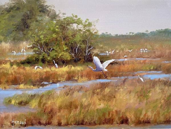 Florida Everglades Landscape Art Print  - Art Print