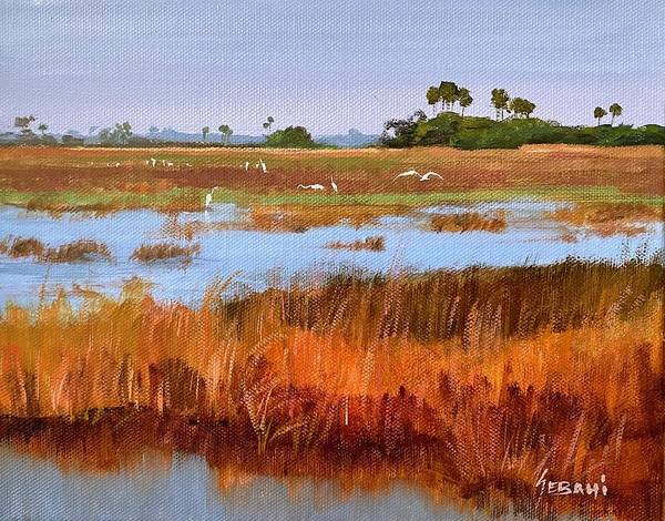 Florida Everglades Wetland Marsh Landscape  - Art Print