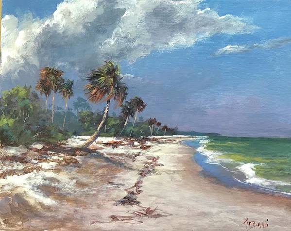 Florida Tropical Coast Seascape Art Print  - Art Print