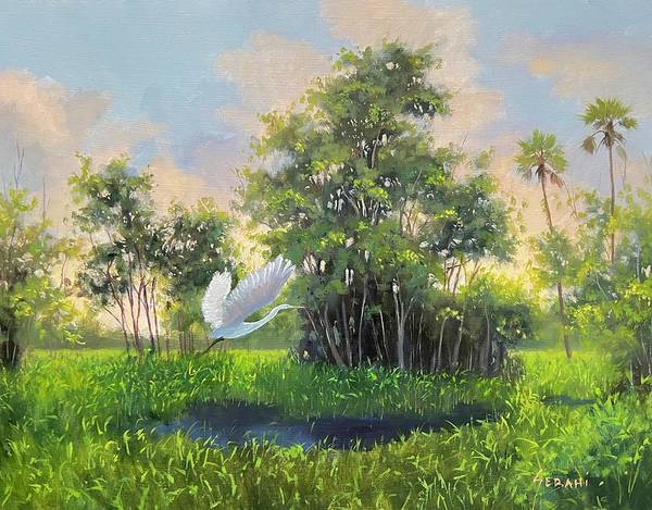 Florida Wildlife Preserve Landscape Art Print - Art Print