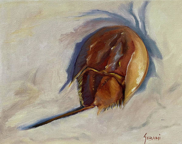 Horseshoe Crab Wildlife animal Art Print  - Art Print