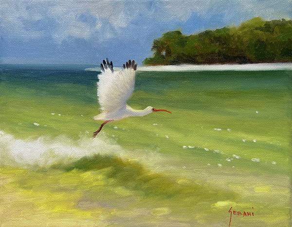Ibis in Flight Coastal Art Print - Art Print
