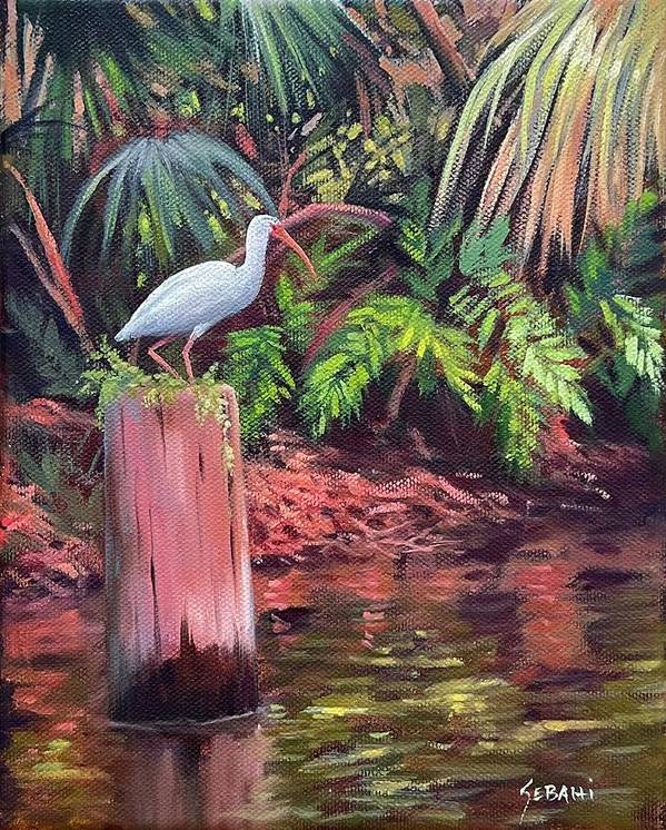 Ibis on the Riverbank Wildlife Art Print by Karim Gebahi - Art Print