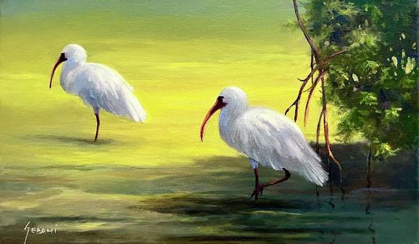 Ibis Wildlife In Shallow Water Art Print - Art Print