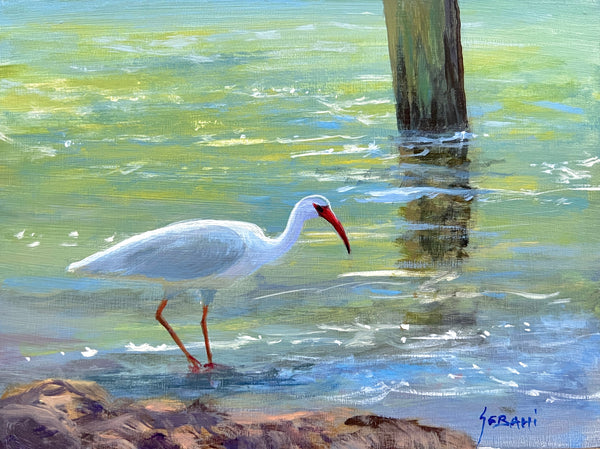 Ibis in the Shallows, Original!