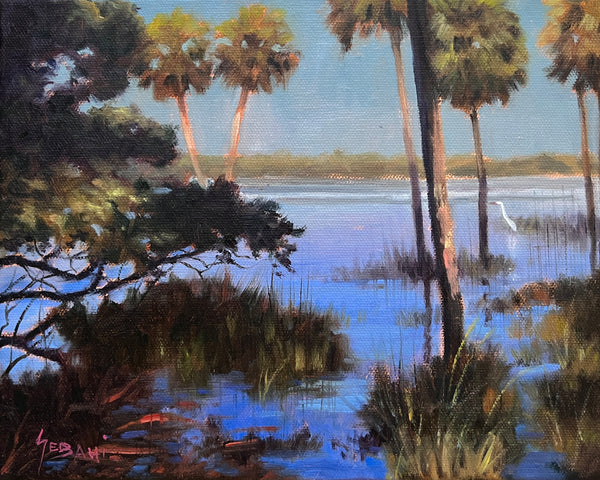 Florida Wetlands and Palms Landscape. Original!