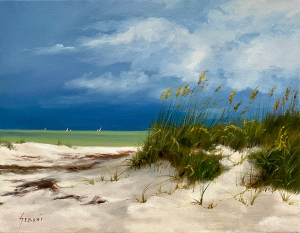 Coastal Sand Dunes Beach Seascape. Original