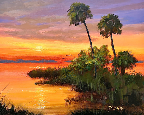 Florida’s Backyard Sunset Landscape. Original!