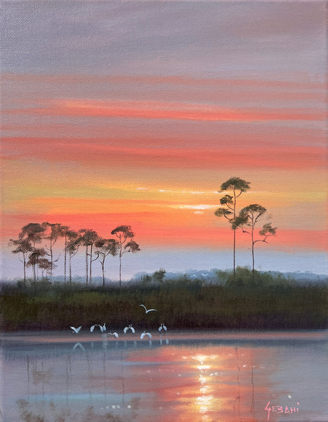 Florida Sunset Backcountry Landscape. Original