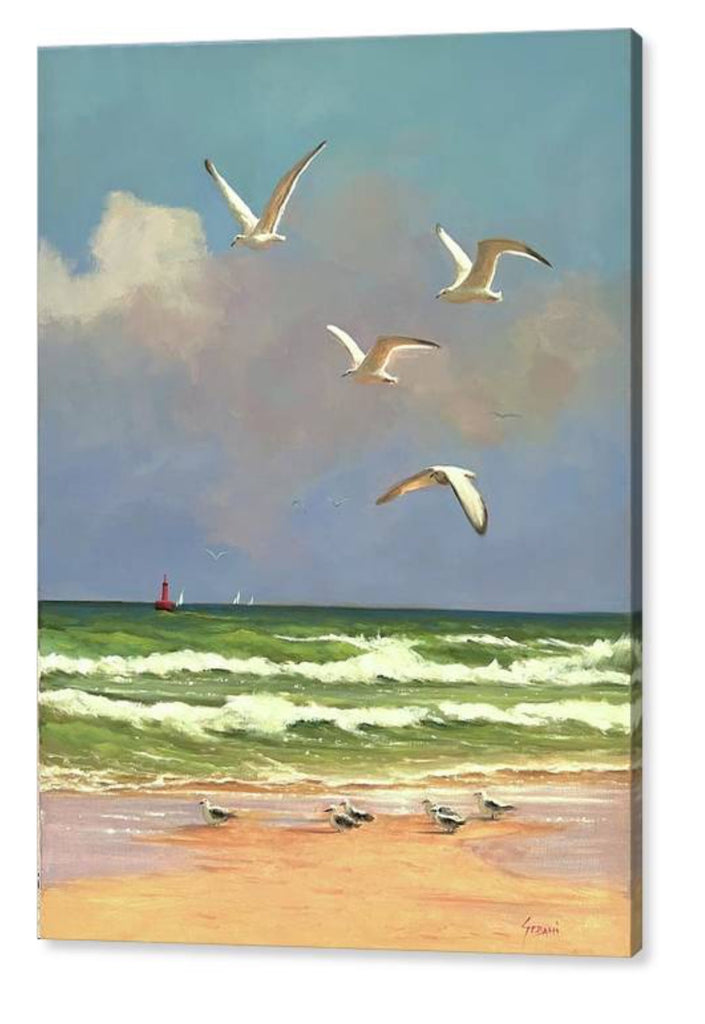 Seagulls Coastal Wildlife Canvas Art Print