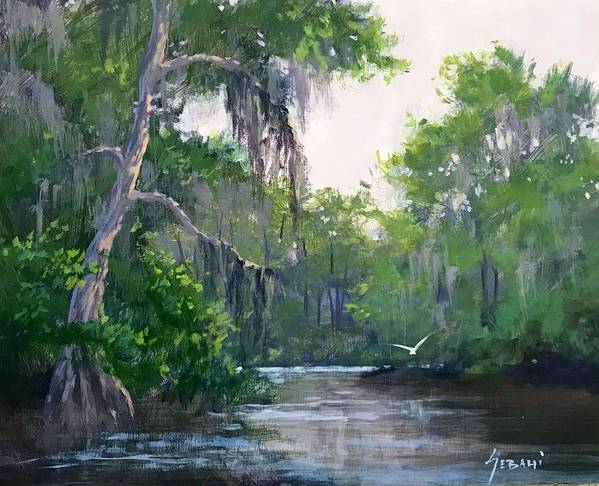 Florida Cypress River Landscape Art Print.