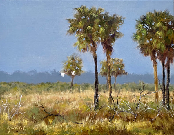 Florida Prairie Landscape