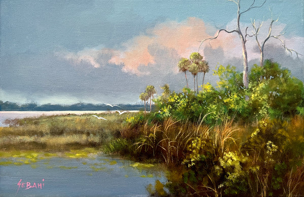 Florida Wetlands and Sky. Original!