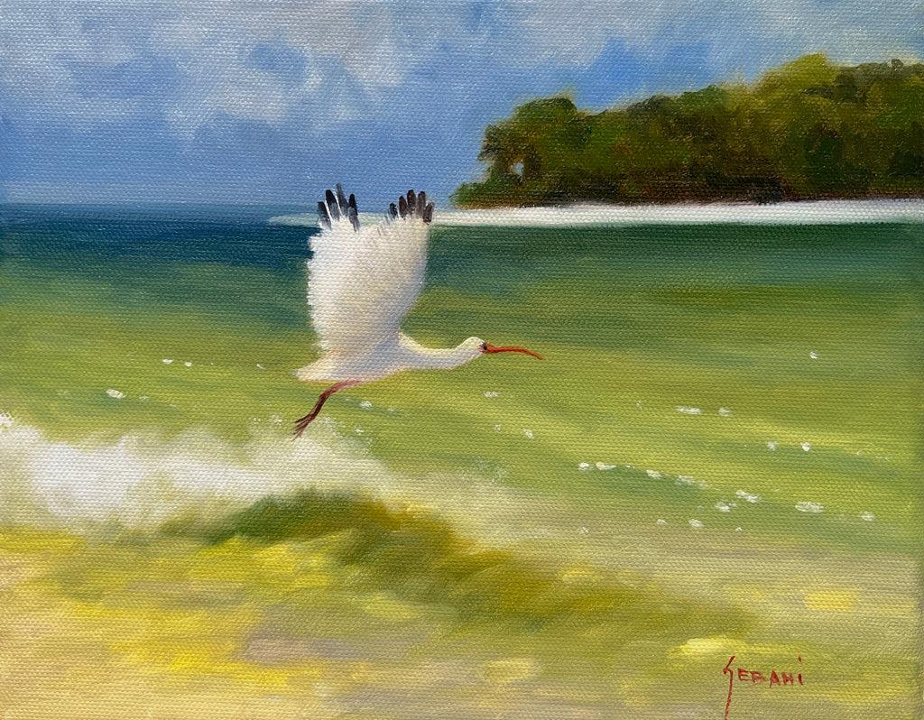 Ibis by the Sea. Original!