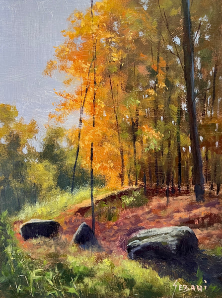 Trails in Fall Season, Original!