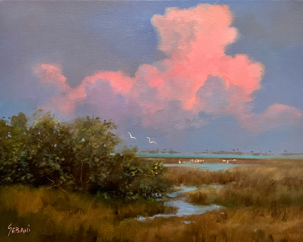 A Peaceful Sunset on the Everglades. Original!