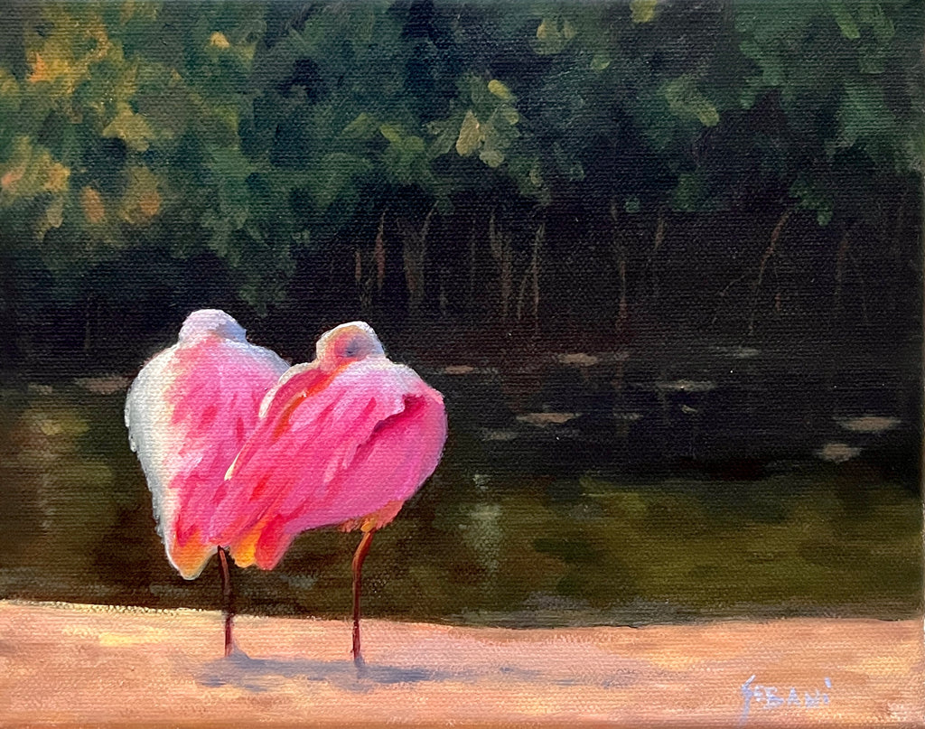 Two Roseate Spoonbills Wildlife. Original