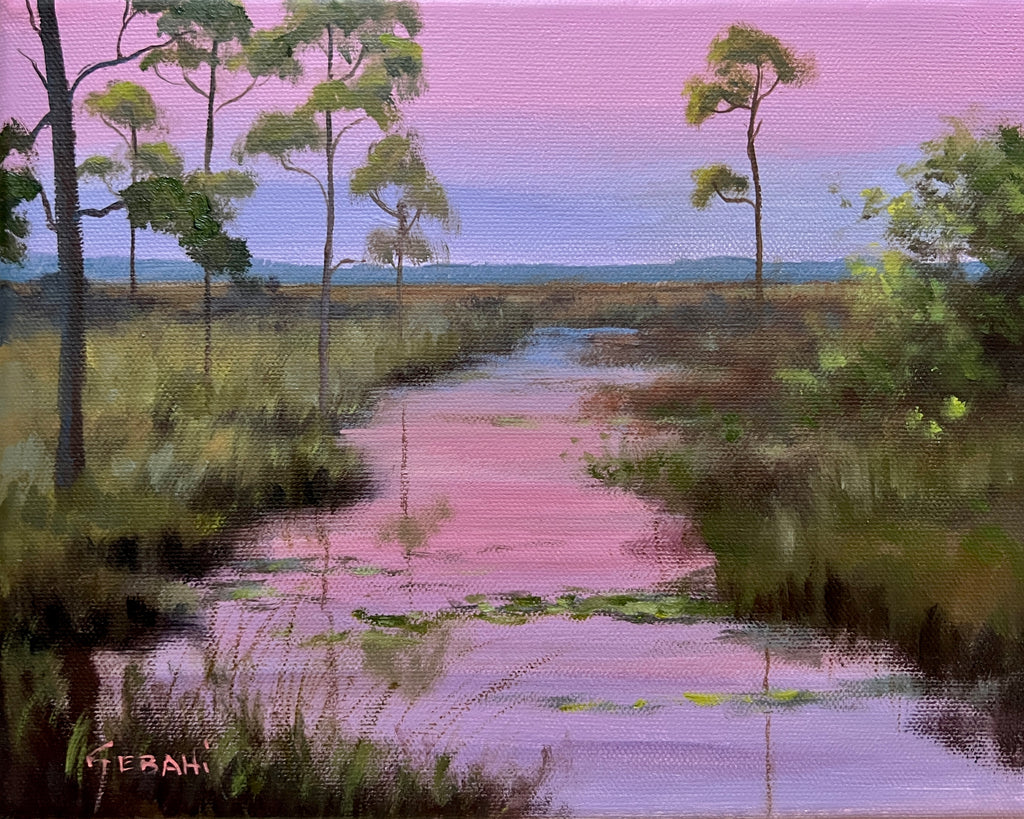 Florida Pink Skies Backcountry Landscape. Original!