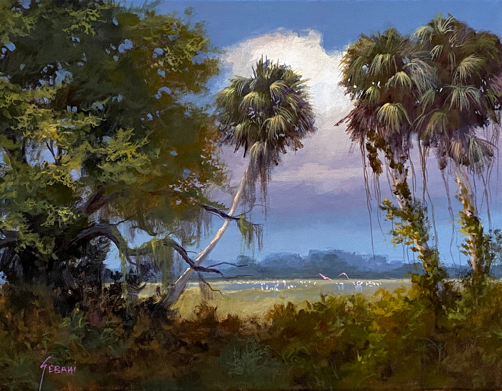 Florida’s Hidden Paradise landscape. Original!