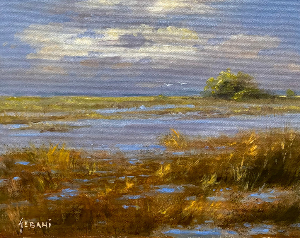 Everglades National Park, Florida landscape painting.